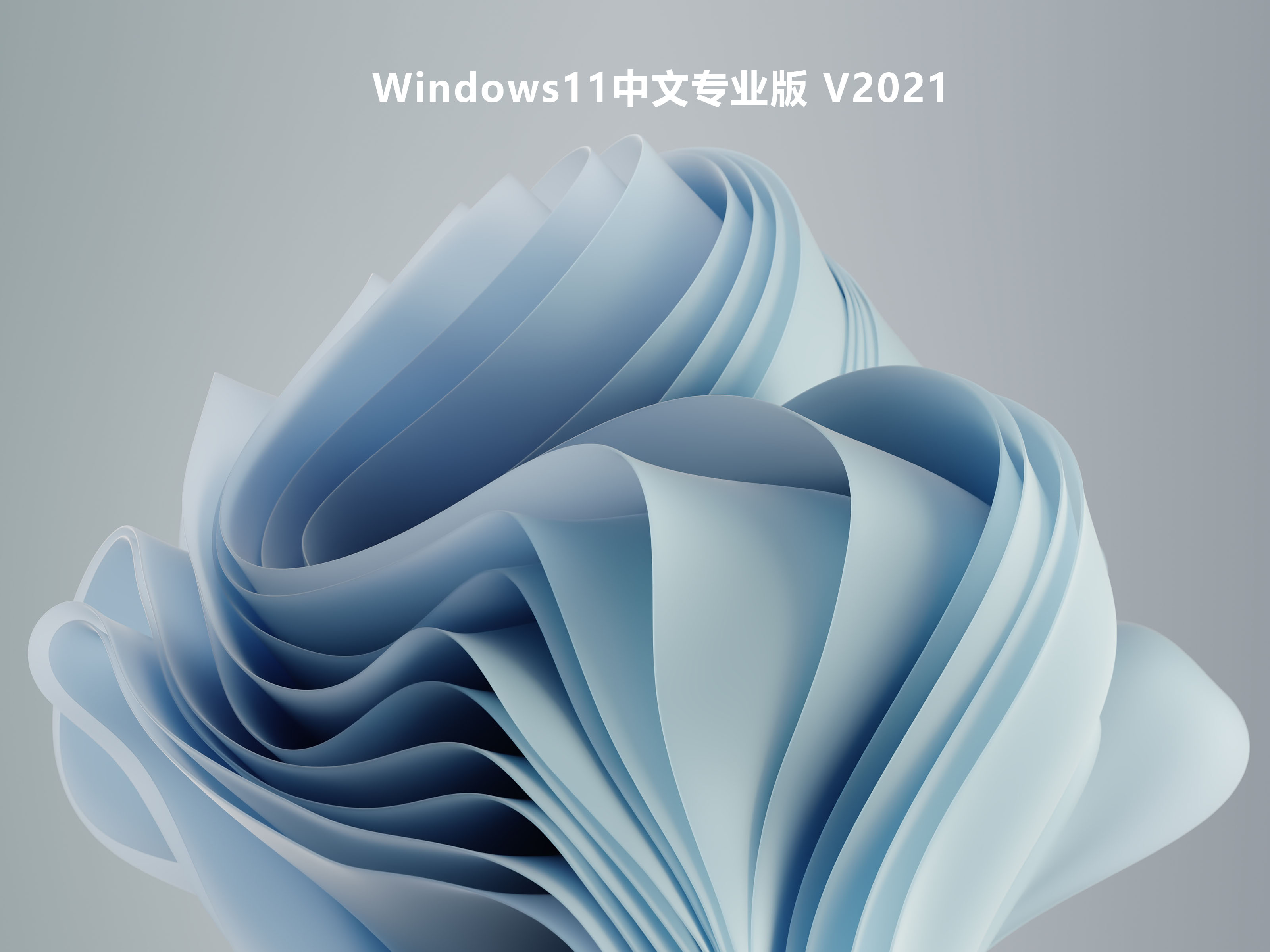 Windows11中文专业版