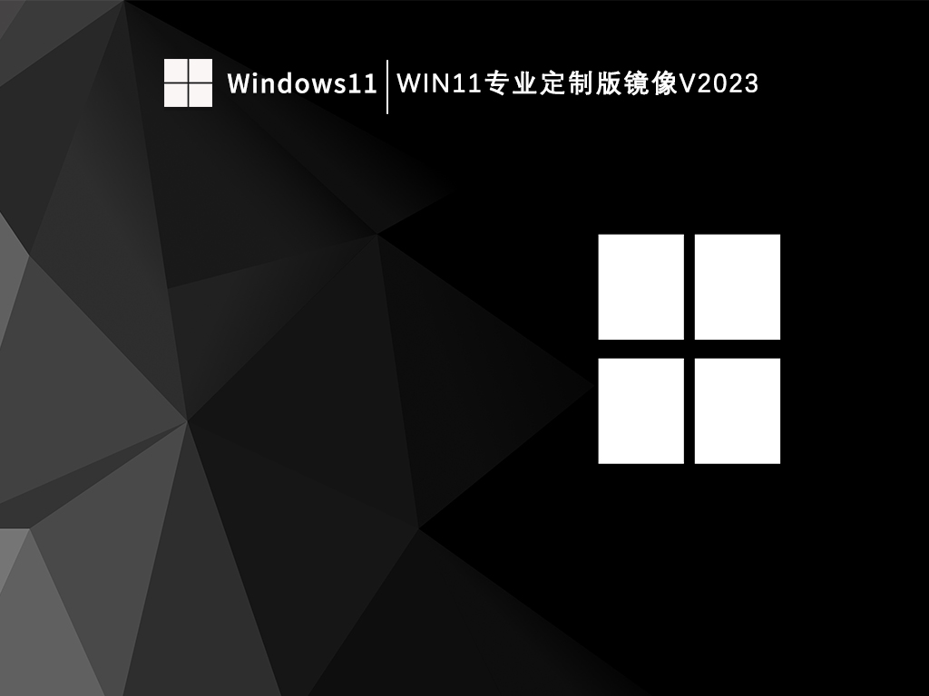 Win11专业定制版镜像