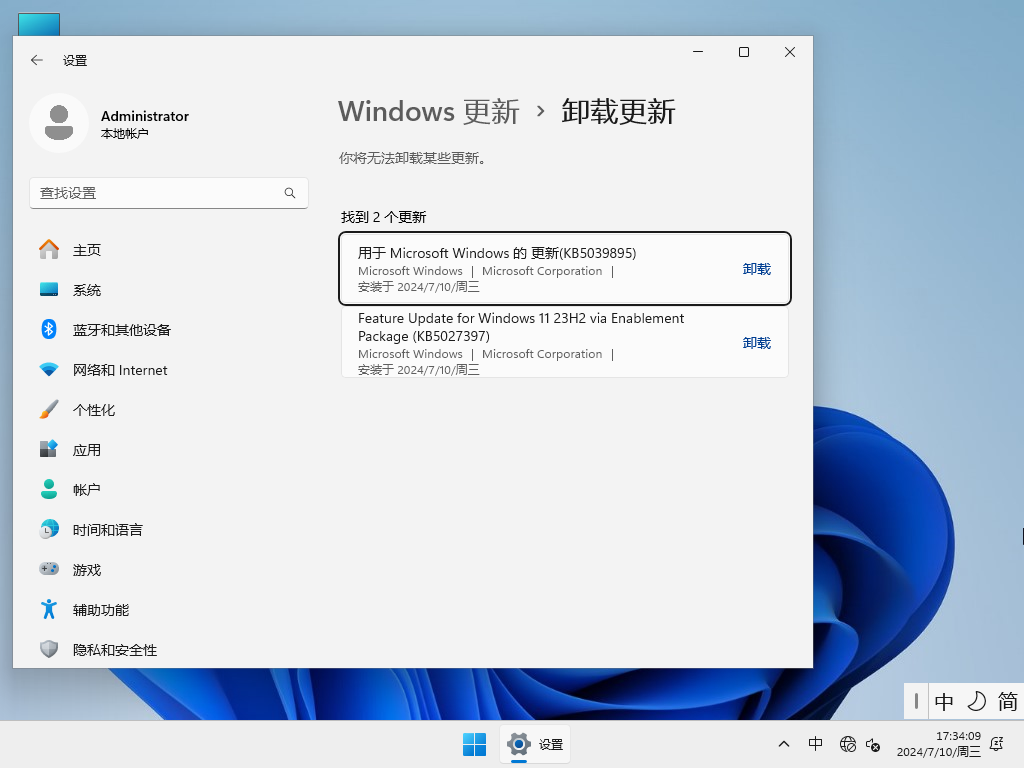 精简 中文 Win11 Pro 专业版